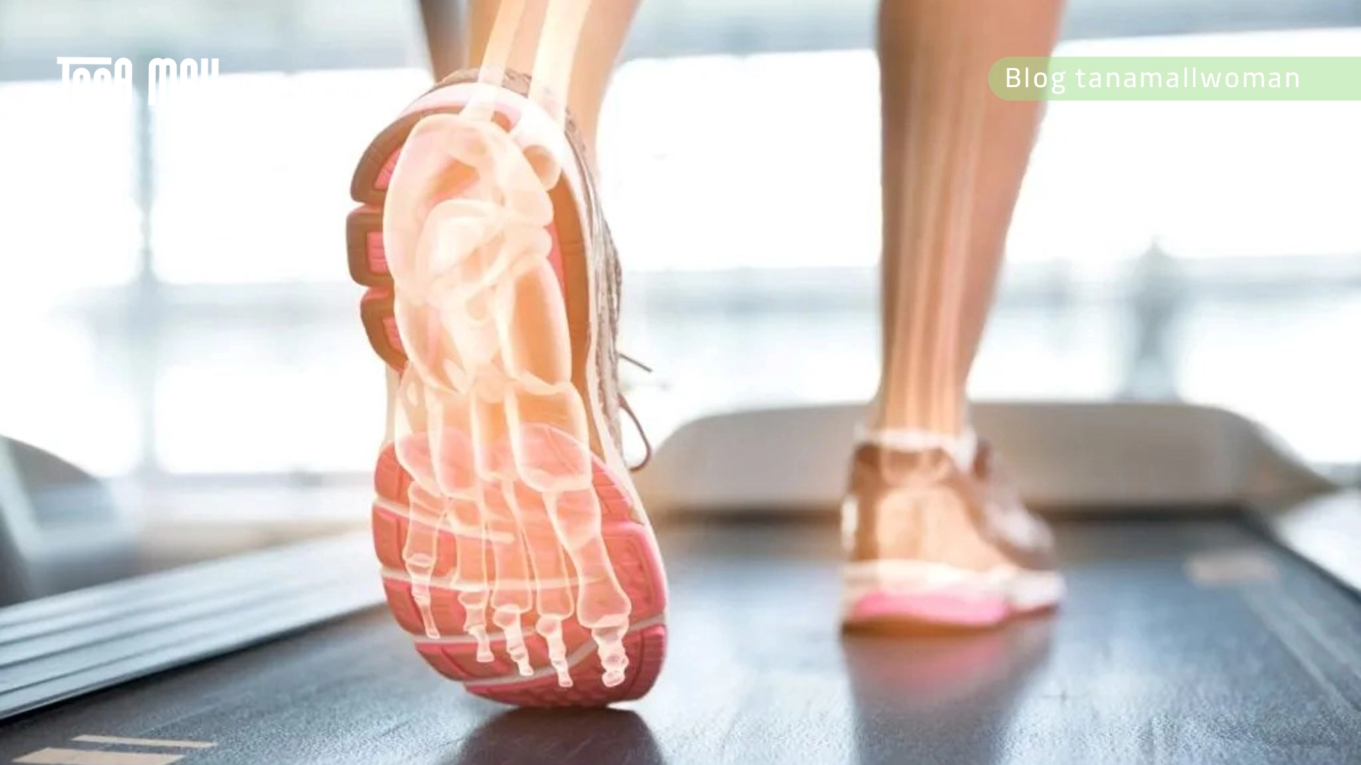 چگونه کفش خوب را تشخیص دهیم؟